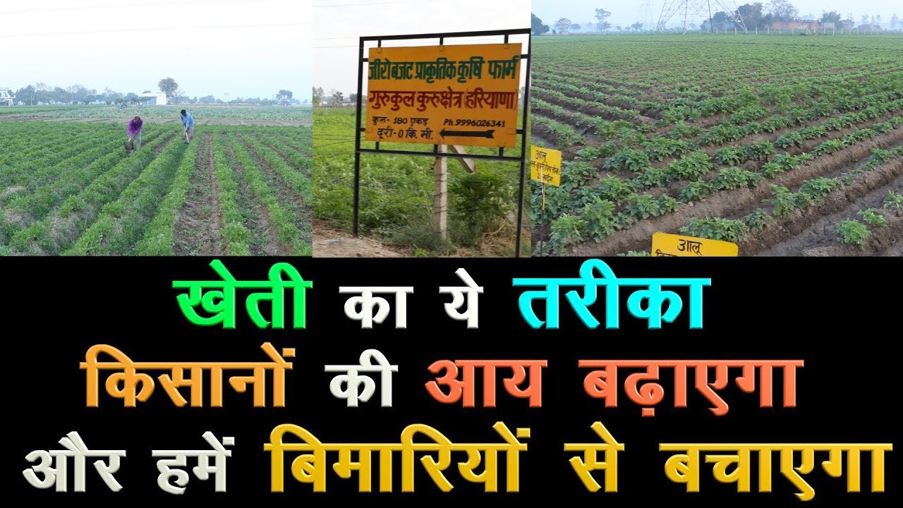 Best Practices of Zero Budget Natural Organic Farming by Gurukul Kurukshetra ||
