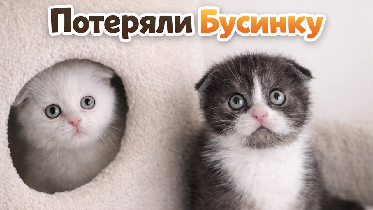 Я опять потеряла Бусинку 😂🙈