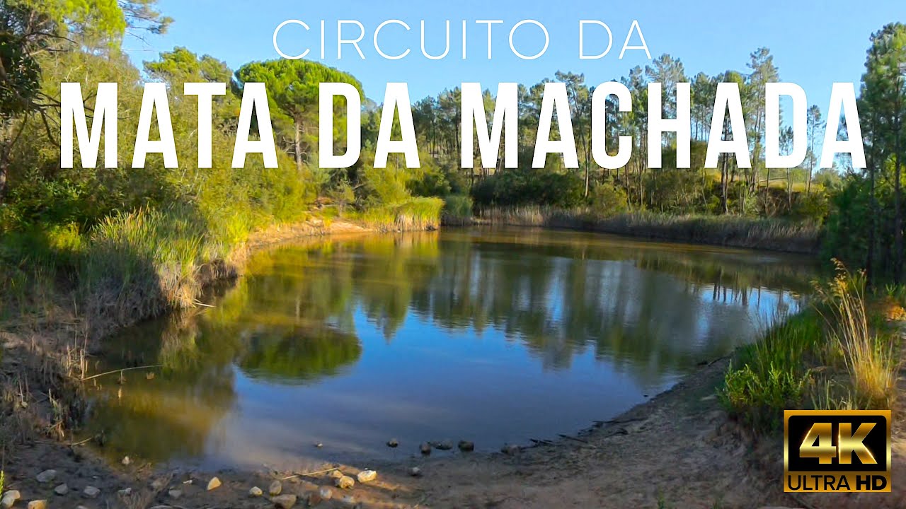 [4K Vídeo] Circuito da Mata da Machada - Coina/Palhais, Barreiro