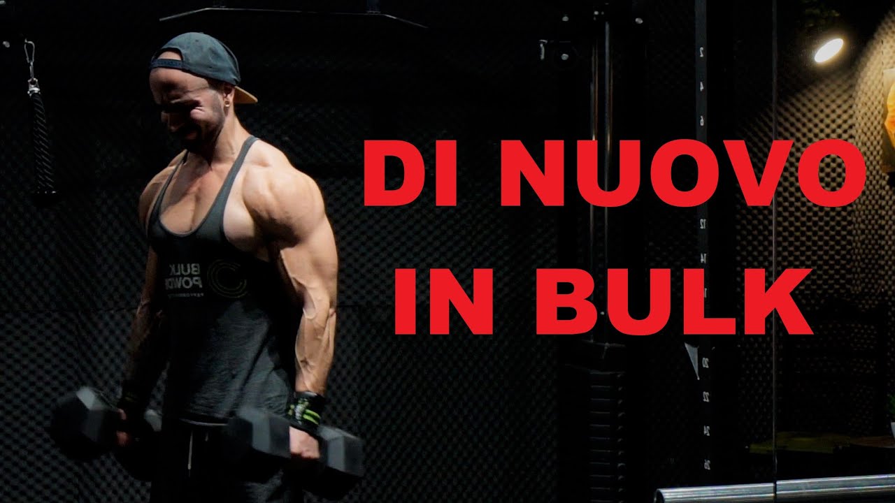 Inizio Bulk High Fat