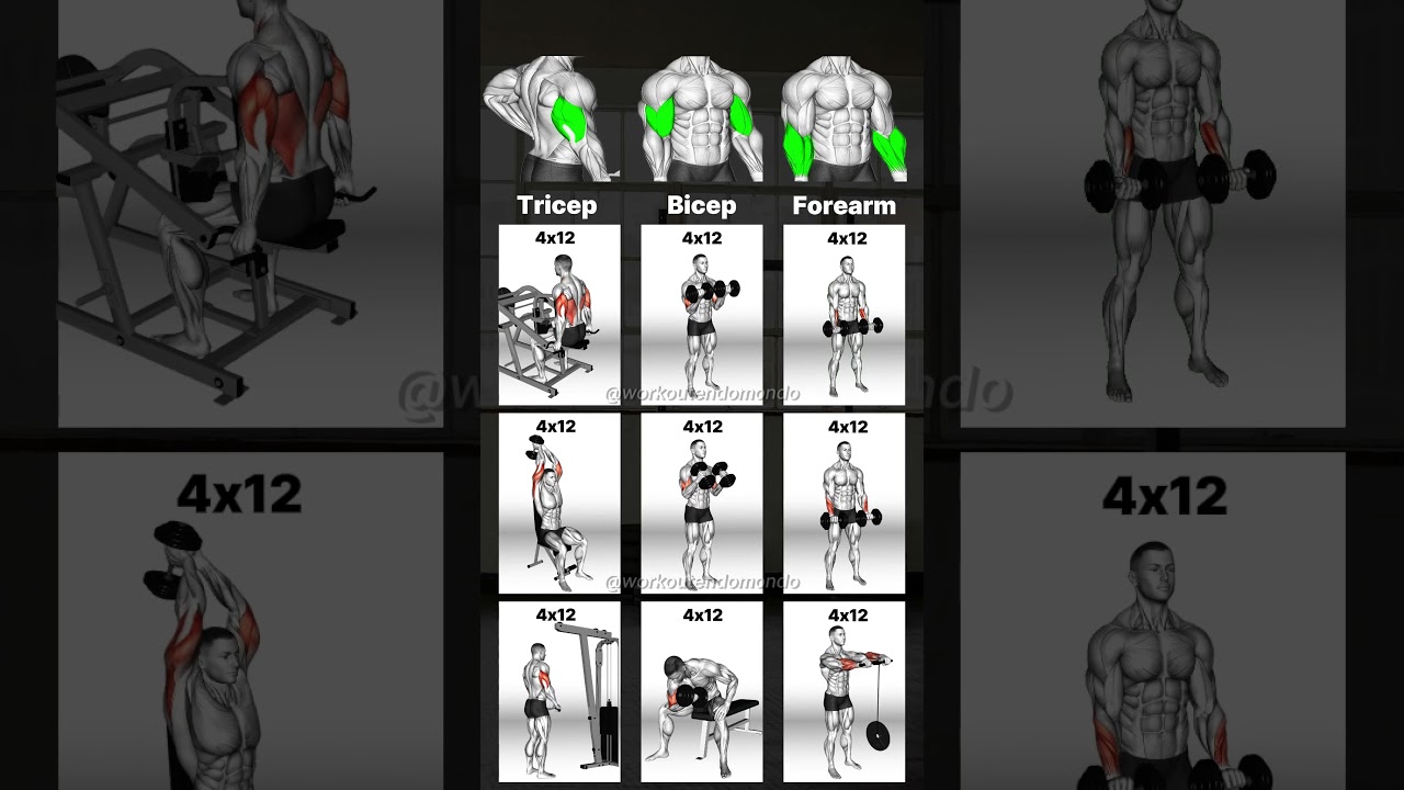 Transform Your Arms: Best Arm Workouts for Strength & Definition!