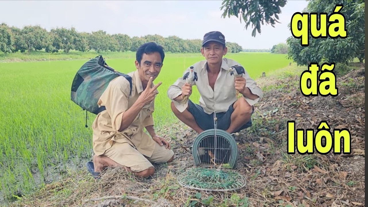 Gác Quốc Nơi Ruộng Lúa , Bổi Bay Tới Đá Cái Loa Mà Cười Xỉu Luôn # SĂN BẮT ĐỒNG THÁP #
