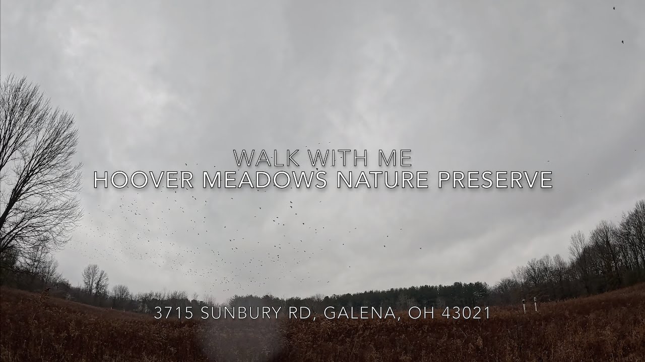 Hoover Meadows & Galena Cemetery | Walk With Me | Natural Audio