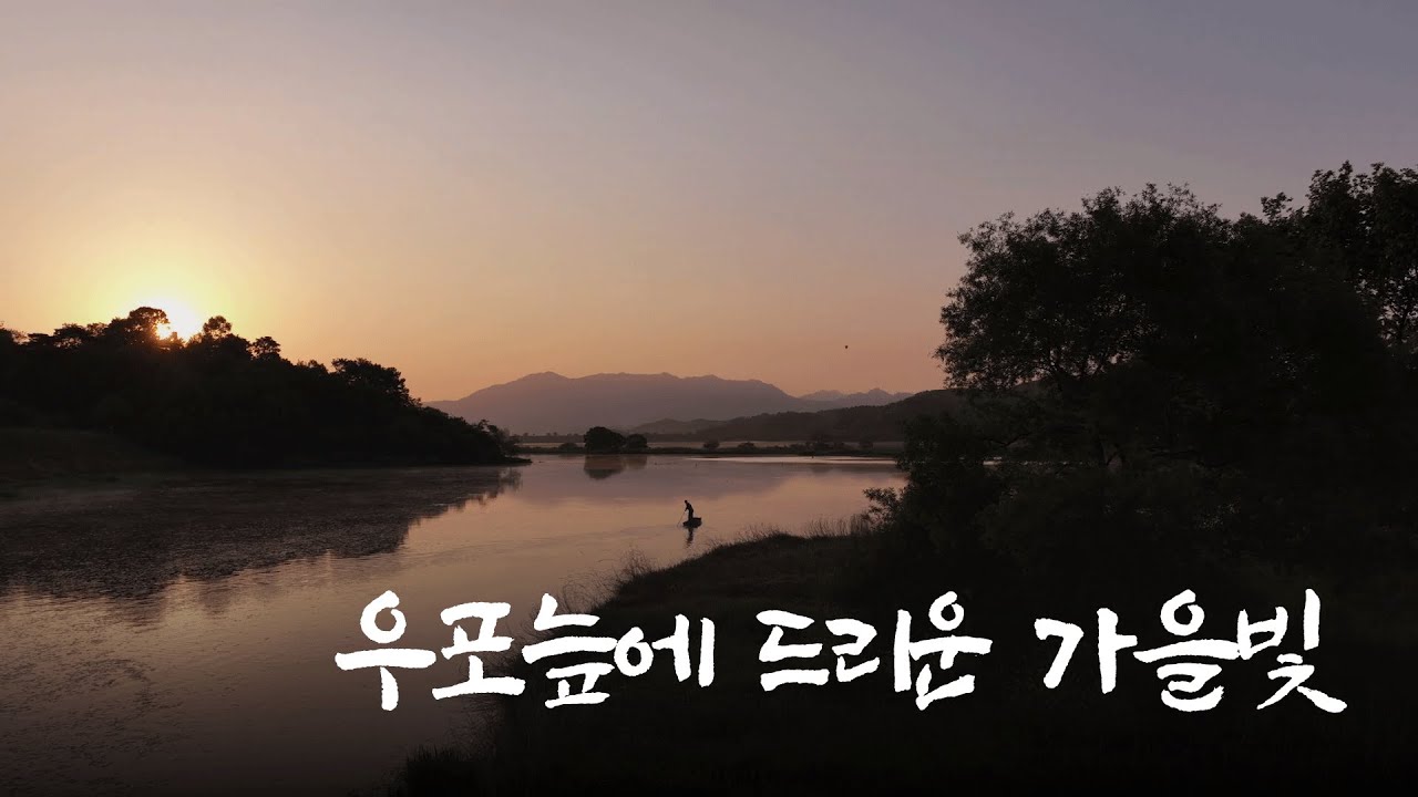 창녕 우포늪에 드리운 가을빛 [이제는 국가유산]