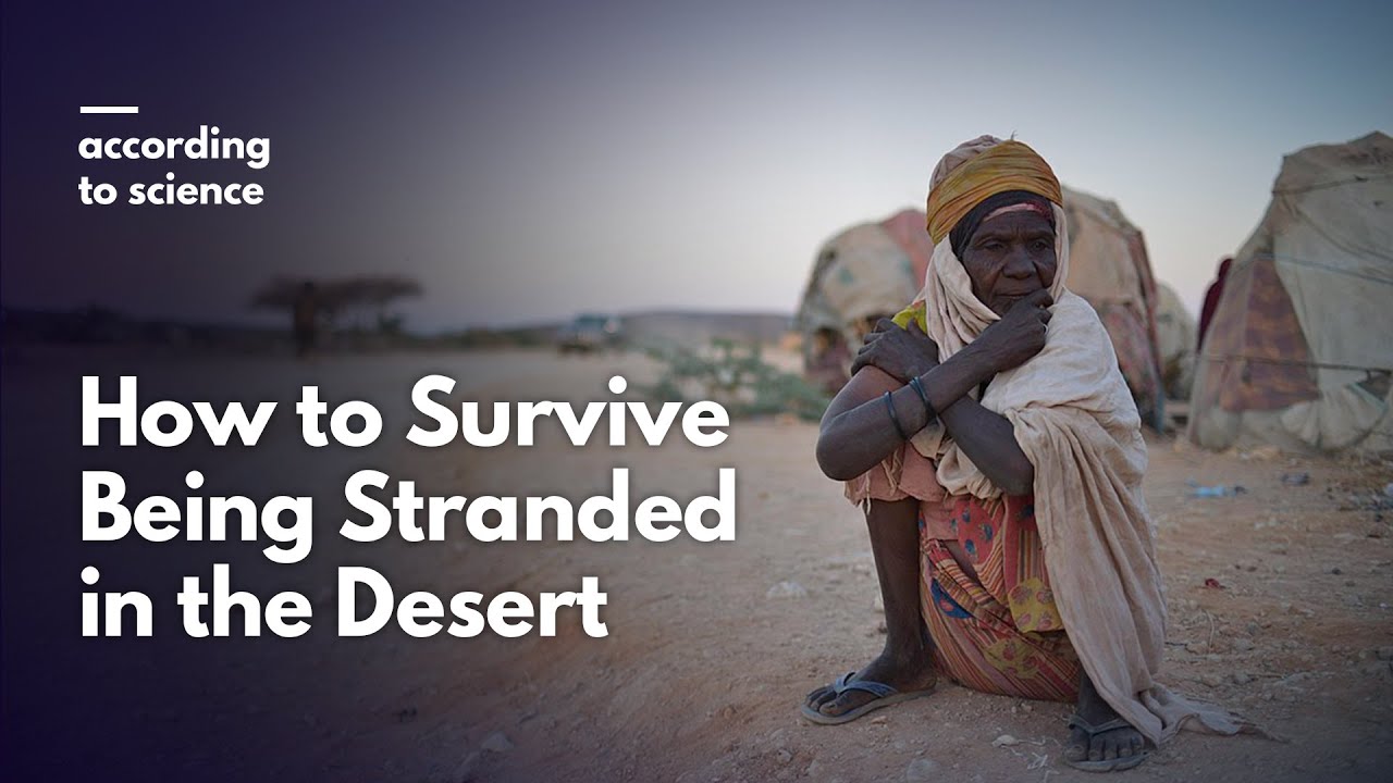 How to Survive Being Stranded in the Desert, According to Science
