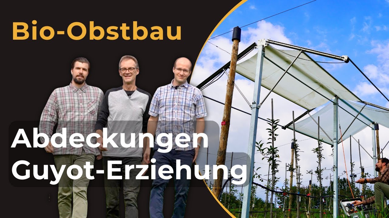 Neue Wege im Bio-Obstbau: Intelligente Abdeckungen und Guyot-Erziehungssystem bei Apfel