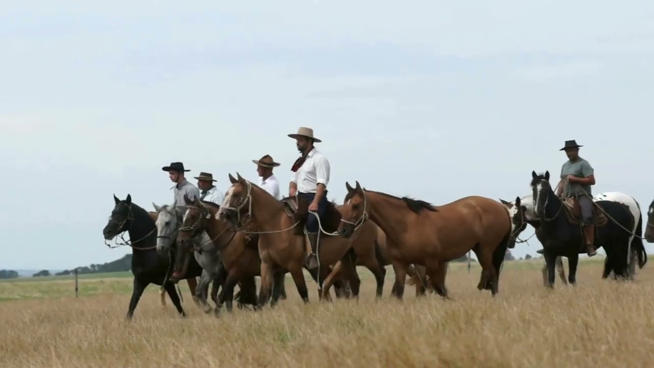 Homenagem dia do Gaúcho