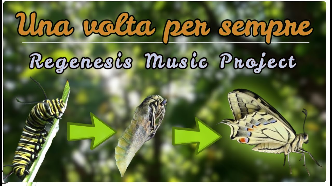 RACCONTO | Una volta per sempre (da bruco a farfalla) | Regenesis Music Project