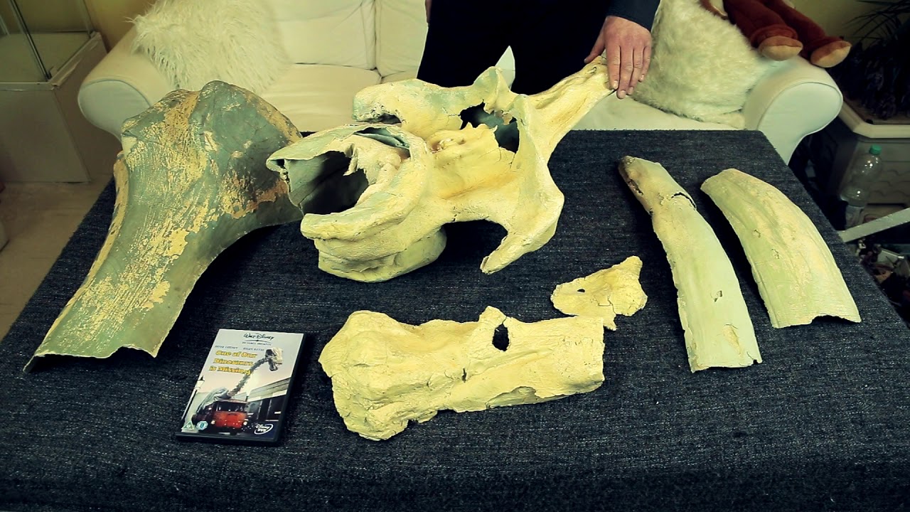 Star Wars Krayt Dragon bones props found in Tunisian Desert 1996 Tunisia film set fan expedition