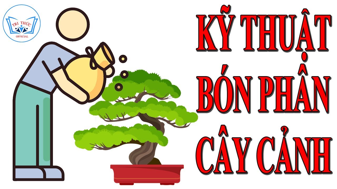 Kỹ thuật B&oacute;n Ph&acirc;n cho C&acirc;y Cảnh, Hoa Cảnh | TRI THỨC Official