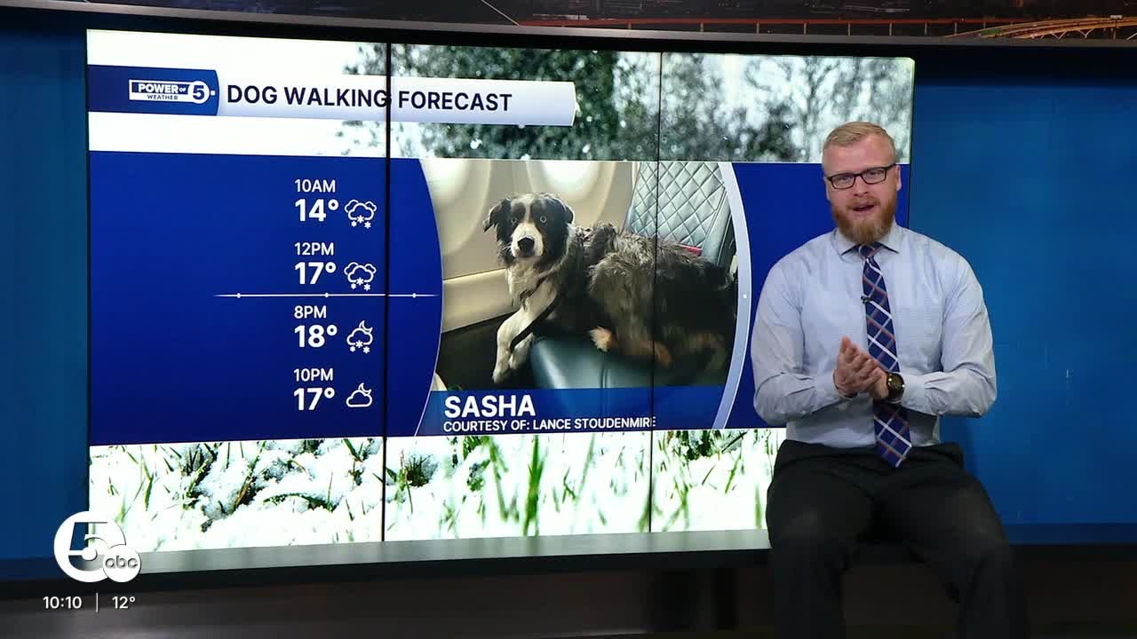 Your Sunday Frigid Dog Walking Forecast