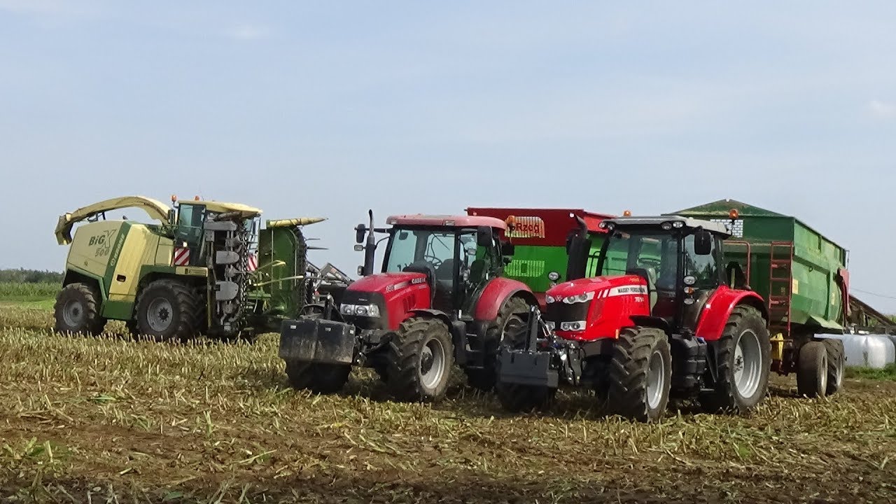 Kukurydza na Kiszonkę 2017 Usługi Pietrzak Case Massey Ferguson Krone