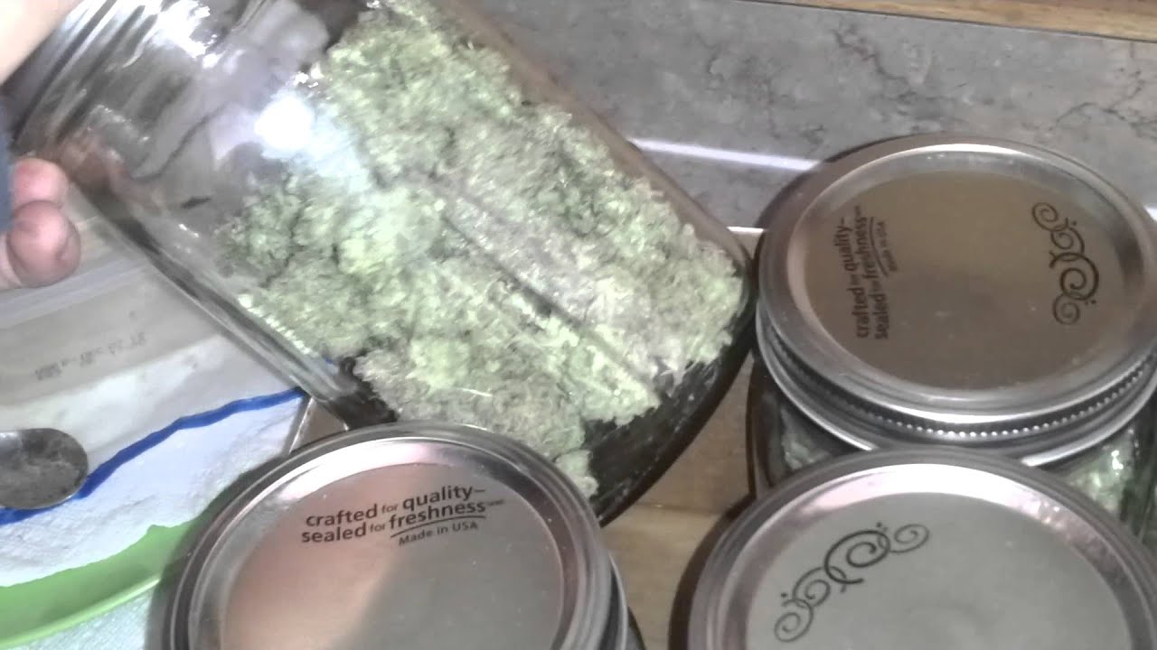 Live from TRFL... Critical Sensi Star nug shots!