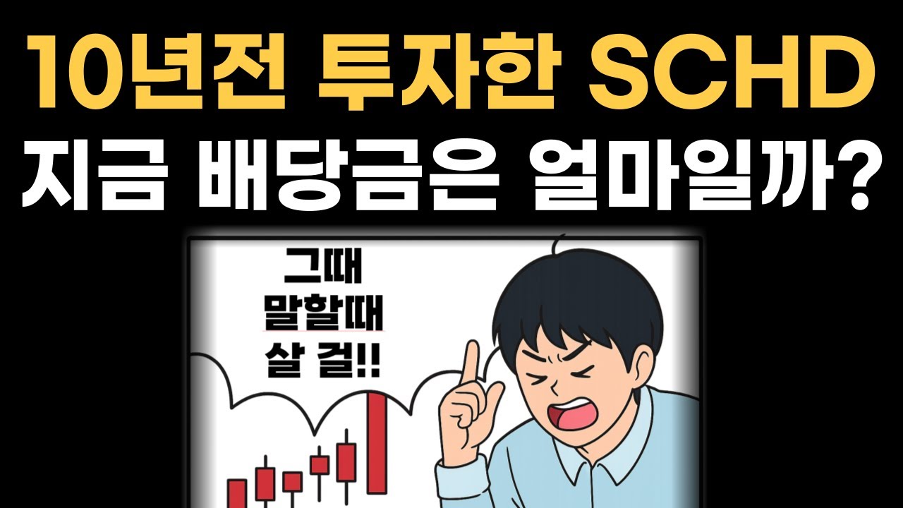 10년전 매월 100만원 SCHD에 투자 했더니 실제 배당금 이정도 받습니다.