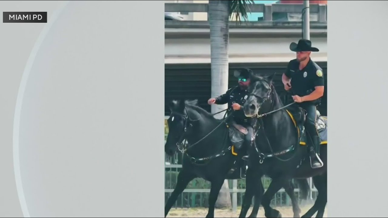 Miami Police horses retire after 30 years of service