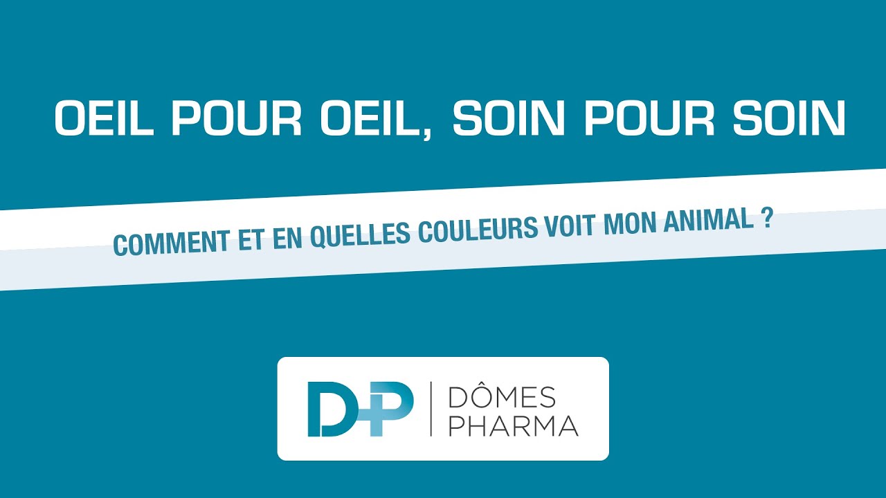 DÔMES PHARMA - Comment et en quelles couleurs voit mon animal ? #chien #chat #oeil