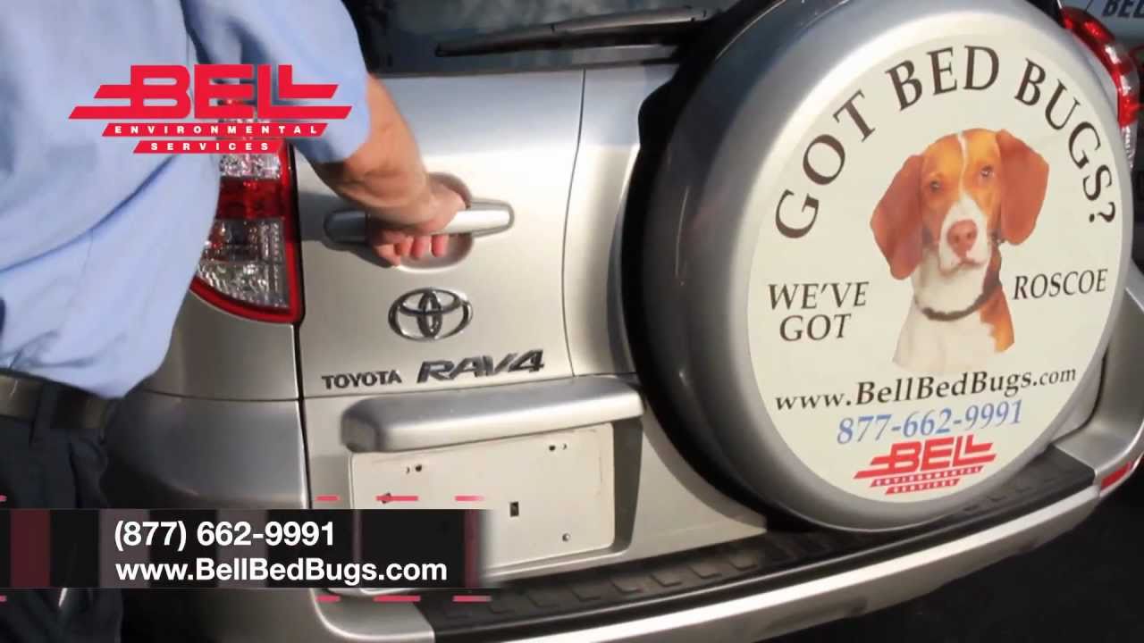 «Где Роско (собака, которая ловит клопов)?» — рекламный ролик компании Bell Environmental.