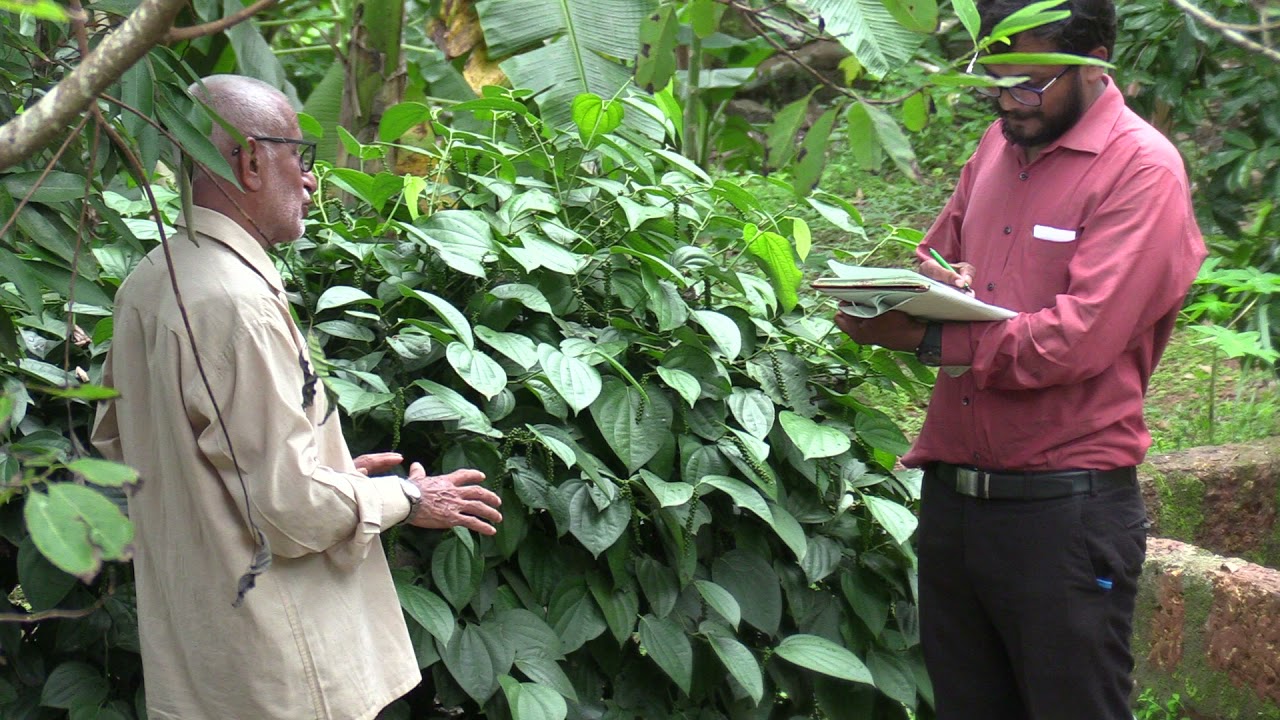 Multi crop Farming one acre land [part 5 video]