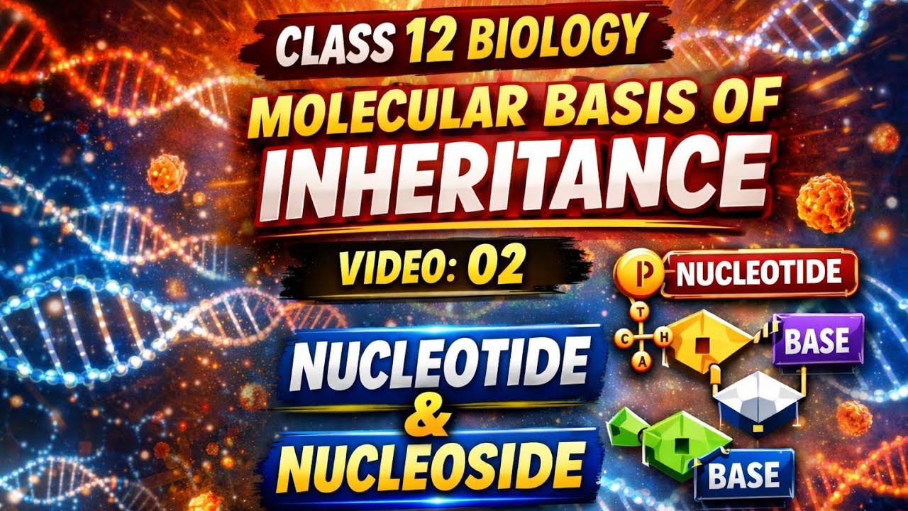 #genetics  #molecular basis of #inheritance #science #biology #lifescience #shorts  #ytshorts #cbse