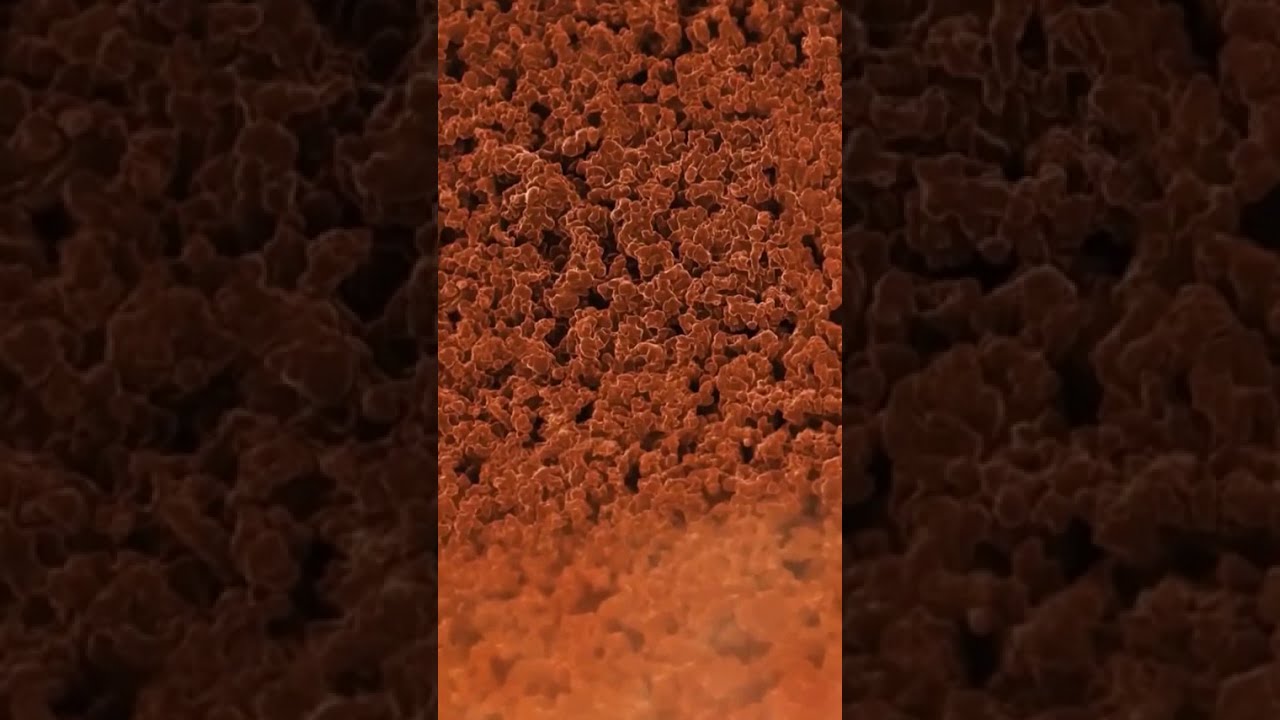 Pen's Nib through G-Lab Microscope 🔬