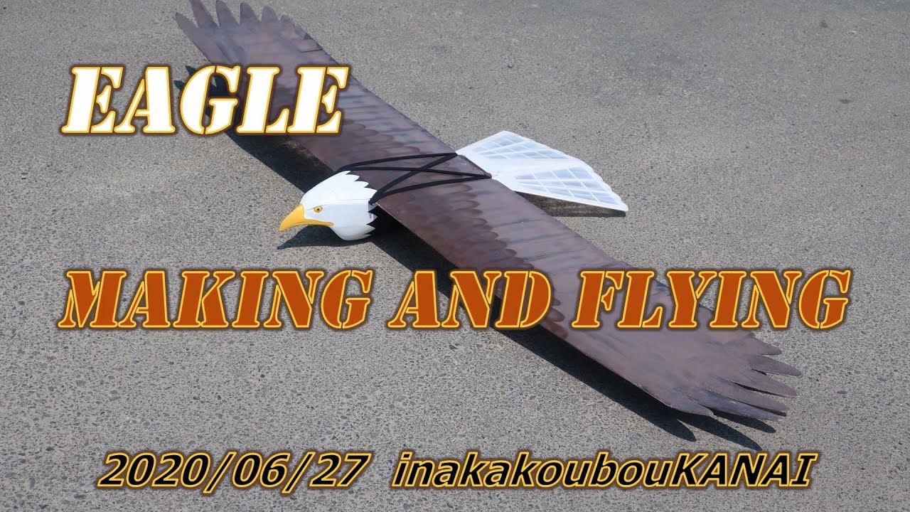 垂直尾翼が無い鳥型機　電動ダクテッドファンによるEAGLEの製作と飛行