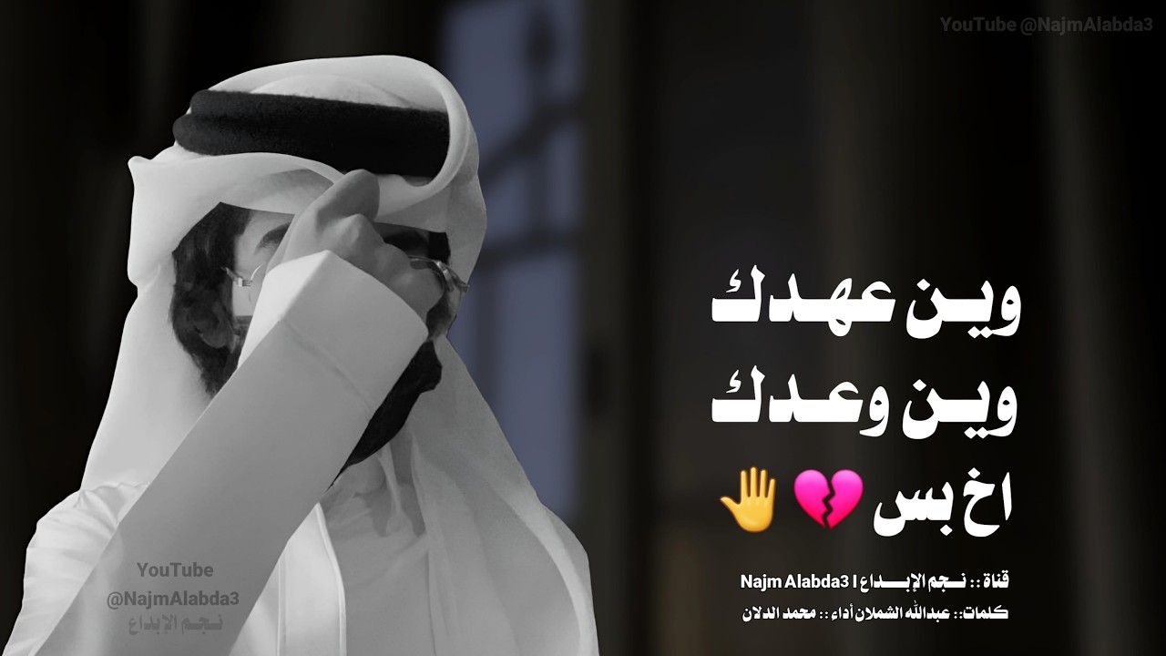 شيلة حزينه تبكي 😔🤚وين عهدك وين وعدك - الدلان (حصرياً) | 2025