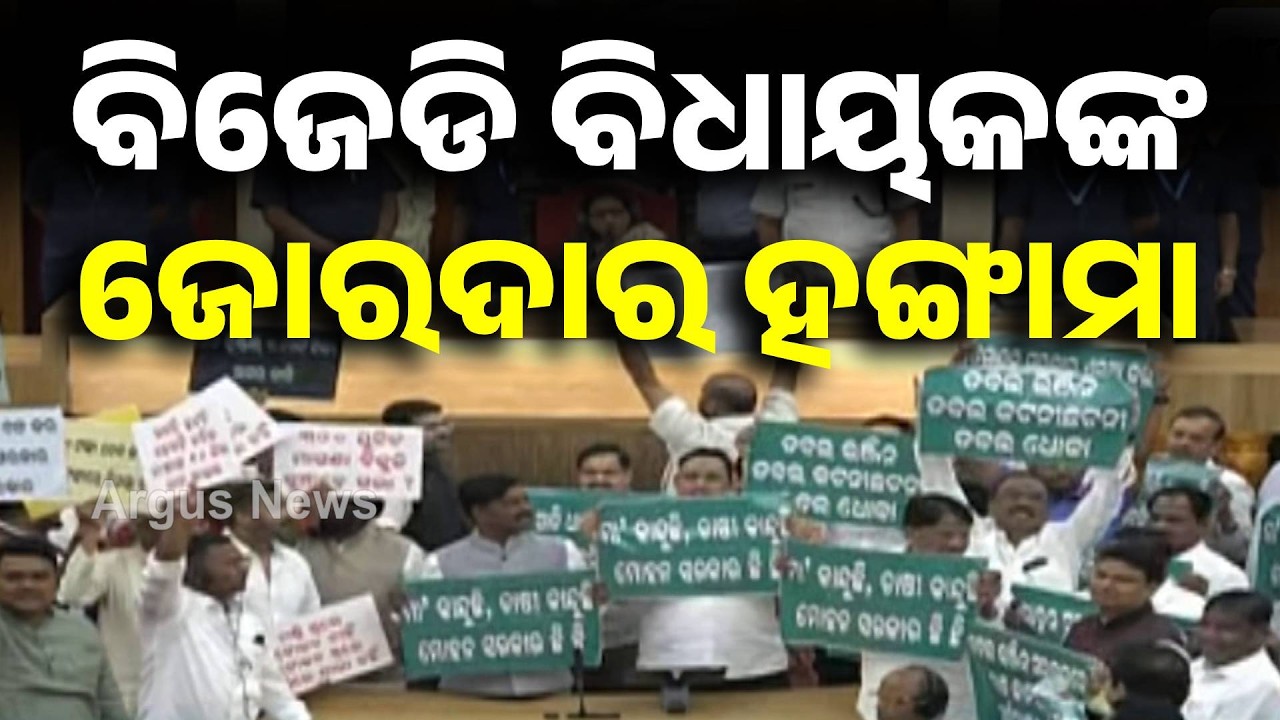 କିଛି ମାନିଲେନି ବିଜେଡି ବିଧାୟକ | BJD MLAs Protest | Odisha Assembly | Argus News