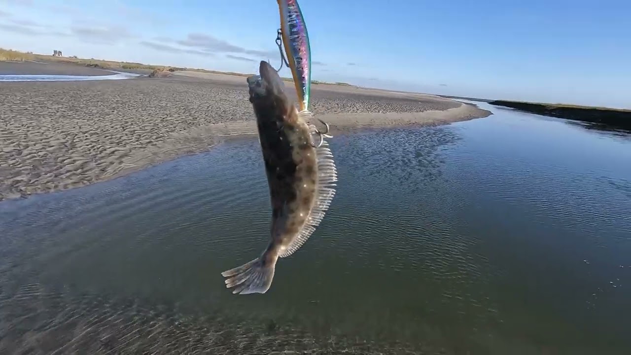 Pesca de lenguados  en las marismas de Guerrero Negro BCS 