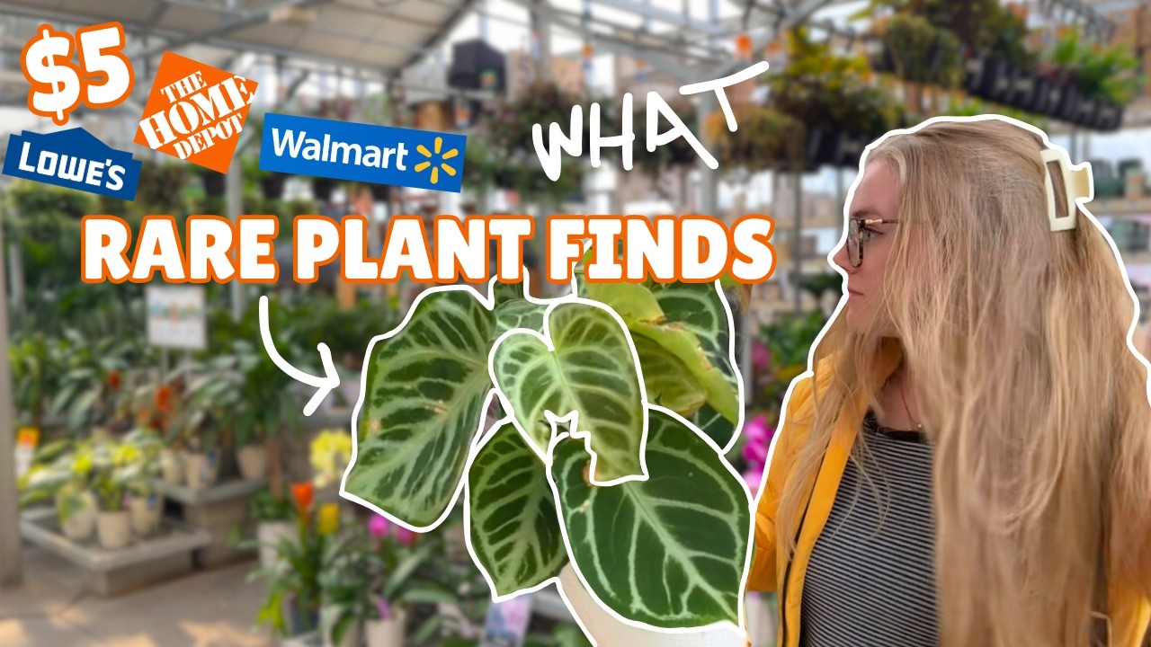 😭 $5 big box plant finds & fails 🥶 um Home Depot where are the NEW rare plants? 😱