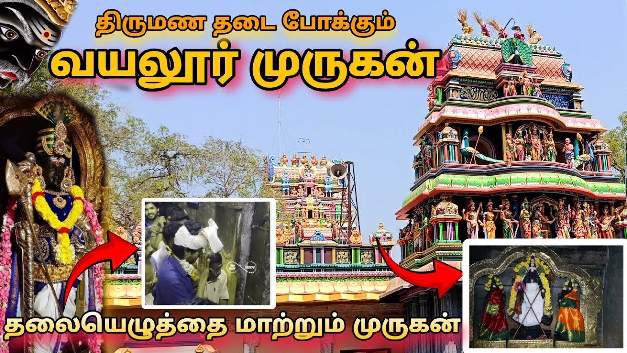 தலையெழுத்தை மாற்றும் வயலூர் முருகன் கோவில் 🔥🙏|திருச்சி குமார வயலூர் முருகன் வரலாறு🙏 #vayalur#murugan