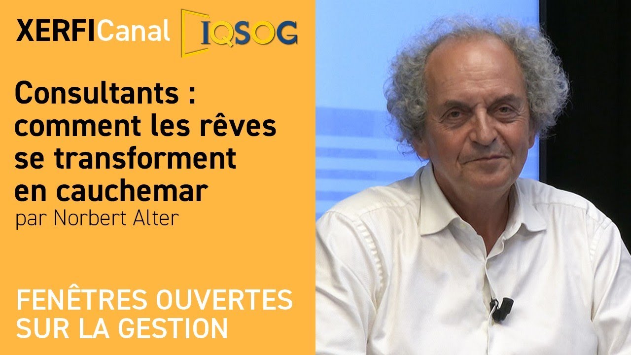 Consultants : comment les rêves se transforment en cauchemar [Norbert Alter]