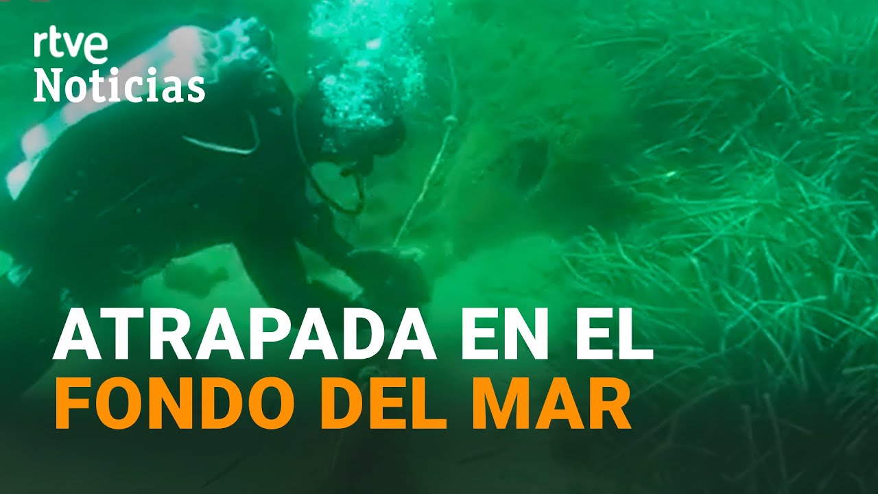 BLANES (GIRONA): RETIRAN una 