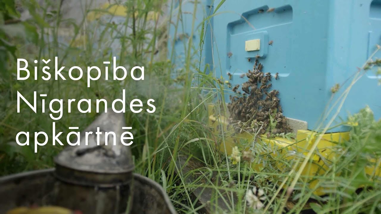 Biškopība Nīgrandes apkārtnē | Radio Vilks Dabā