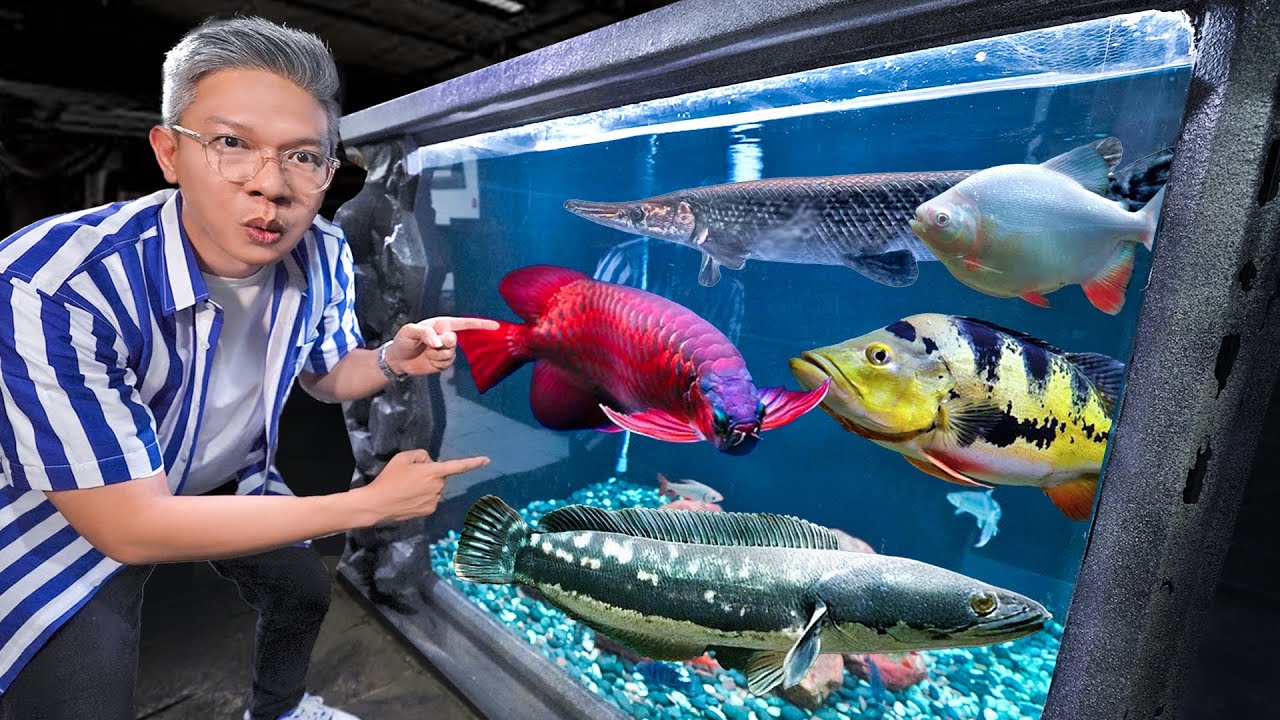 MAKIN GILA!! KOLEKSI SULTAN IKAN JAMM VLOG 2023!!