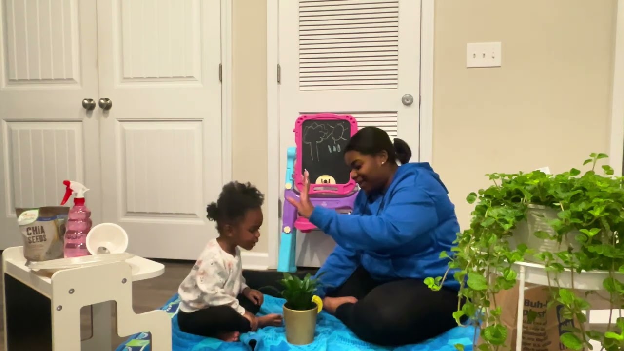 Science experiments with my toddler- What do plants and animals need to survive?