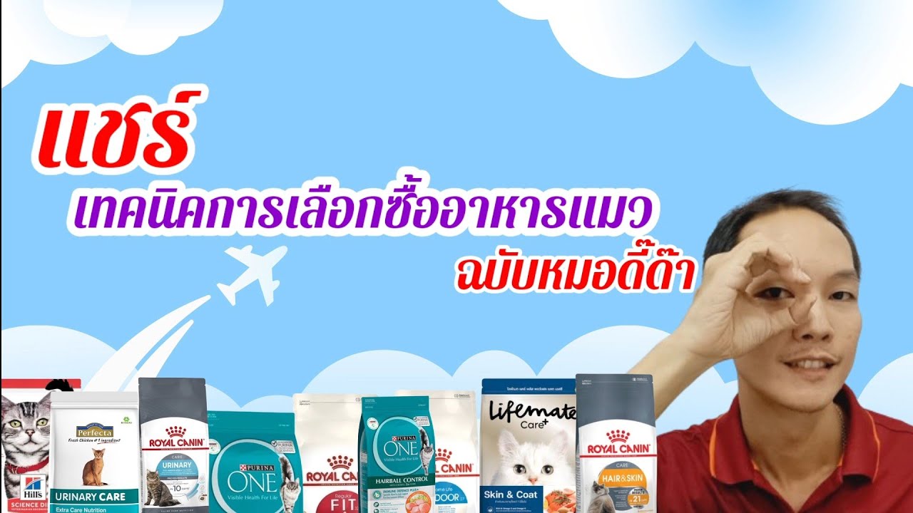 เทคนิคการเลือกซื้ออาหารแมว@หมอดี๊ด๊า