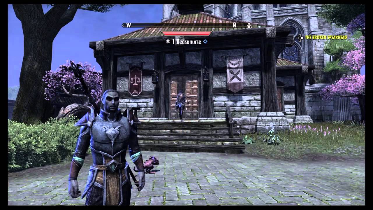 Provisioning 1-50 Complete Guide - Elder Scrolls Online