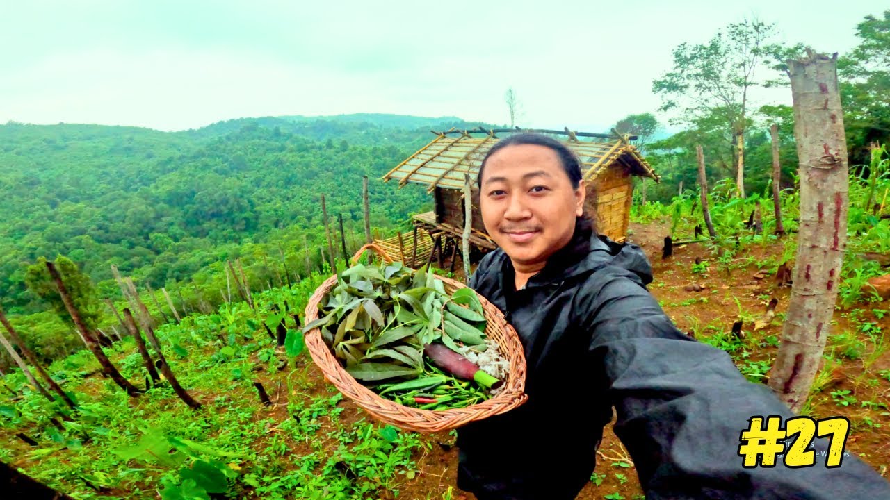 Growing My Own Food and Living a Self-Sufficient Life!