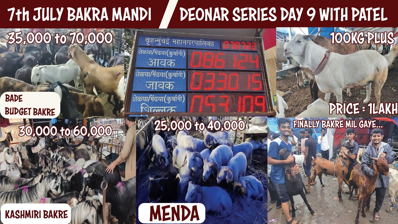 Deonar Bakra Mandi | 7th July | Deonar Series Day 9 | Finally patel ke bakre mil gaye | 2022 | VOG