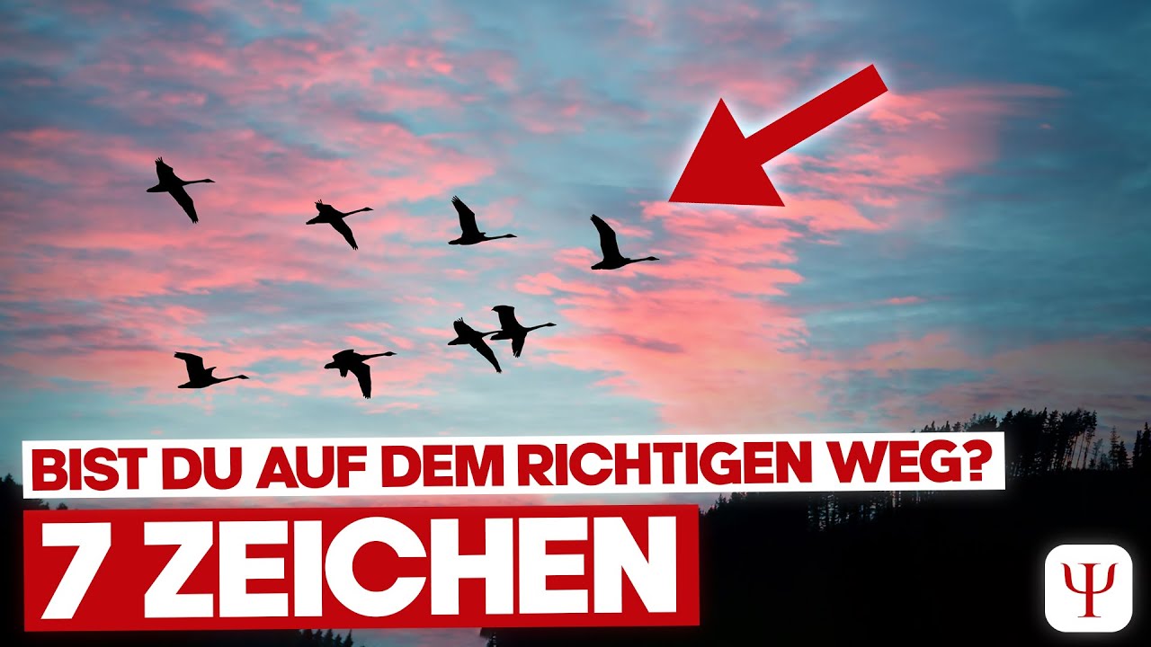 7 seltsame Zeichen, dass DU auf dem richtigen Weg bist!