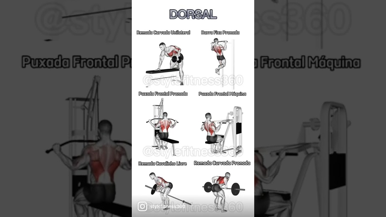 TREINO DORSAL