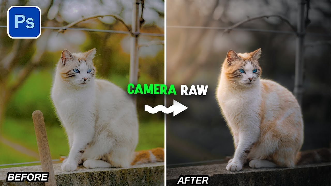 Add a Dramatic Black & Sunlight Effect Using Masking in Photoshop Camera Raw