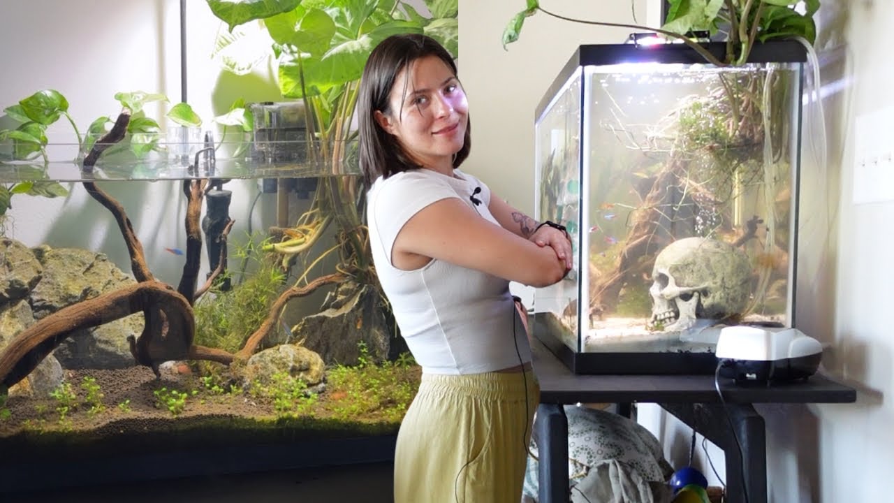 🐟Setting up my 30 gallon fish tank was easier than I thought!