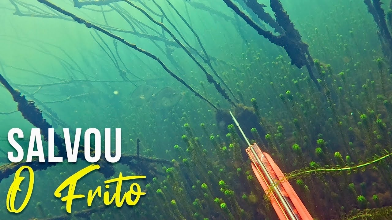 PESCARIA NO RIO PARANÁ! Pesca Sub - SubTv Spearfishing