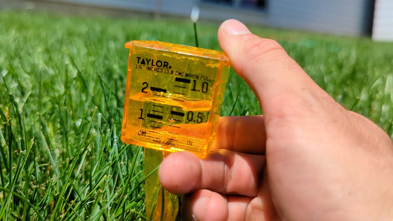 How Long Should You Water Your Lawn? The Ultimate Sprinkler System Test!