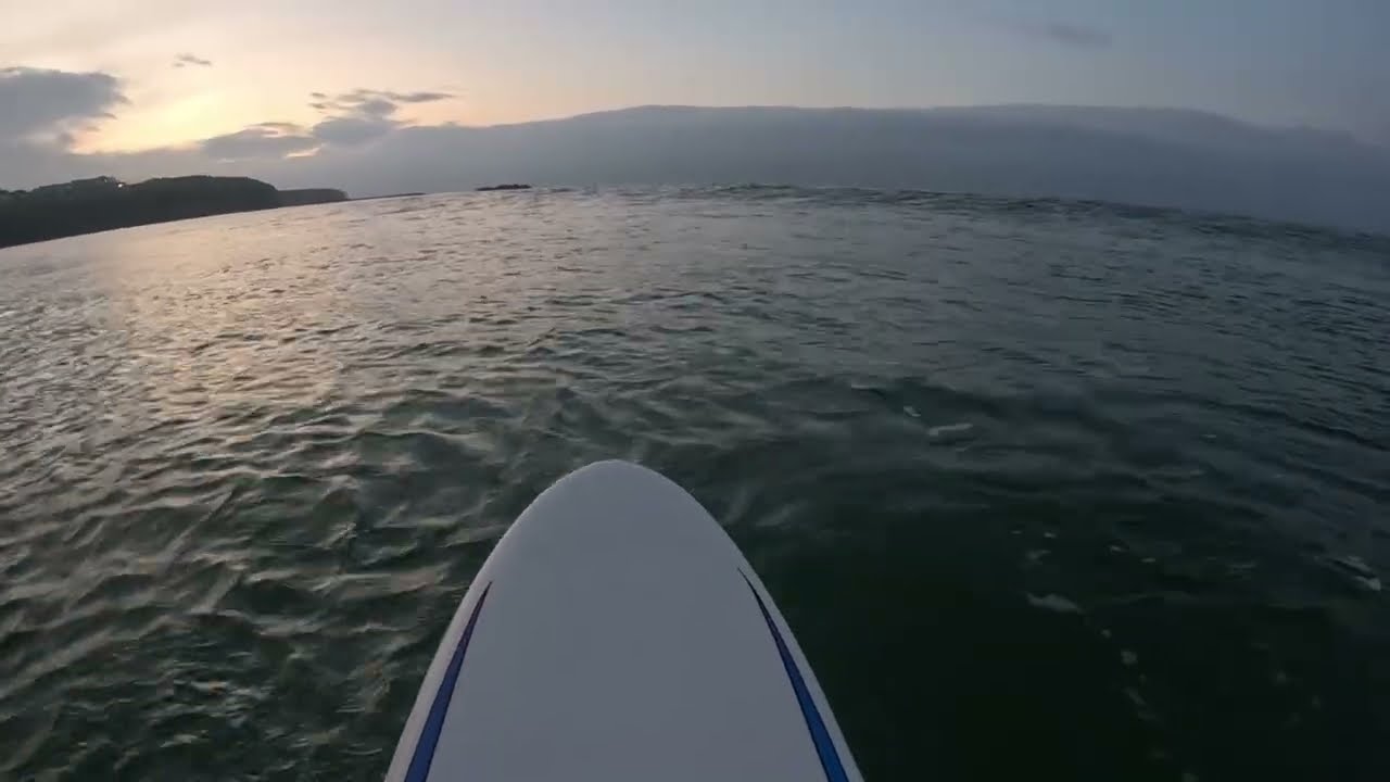 Winter 2025, surf, mtb,tree climb