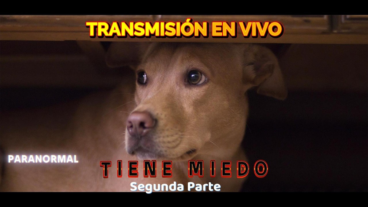 Paranormal: Tiene miedo Segunda Parte