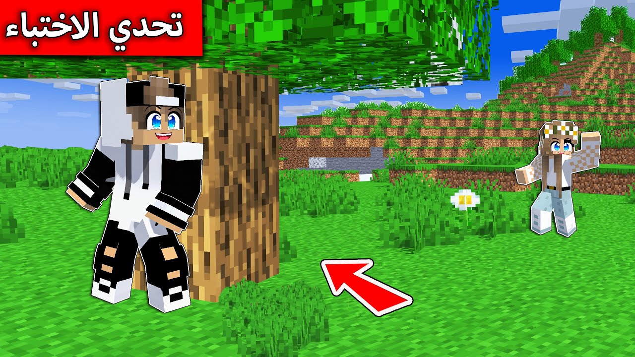 تحدي الاختباء في البيت العملاق في ماين كرافت !