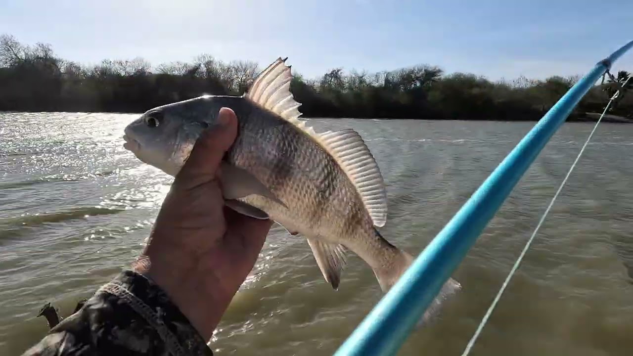 Afternoon Fishing at the secret spot