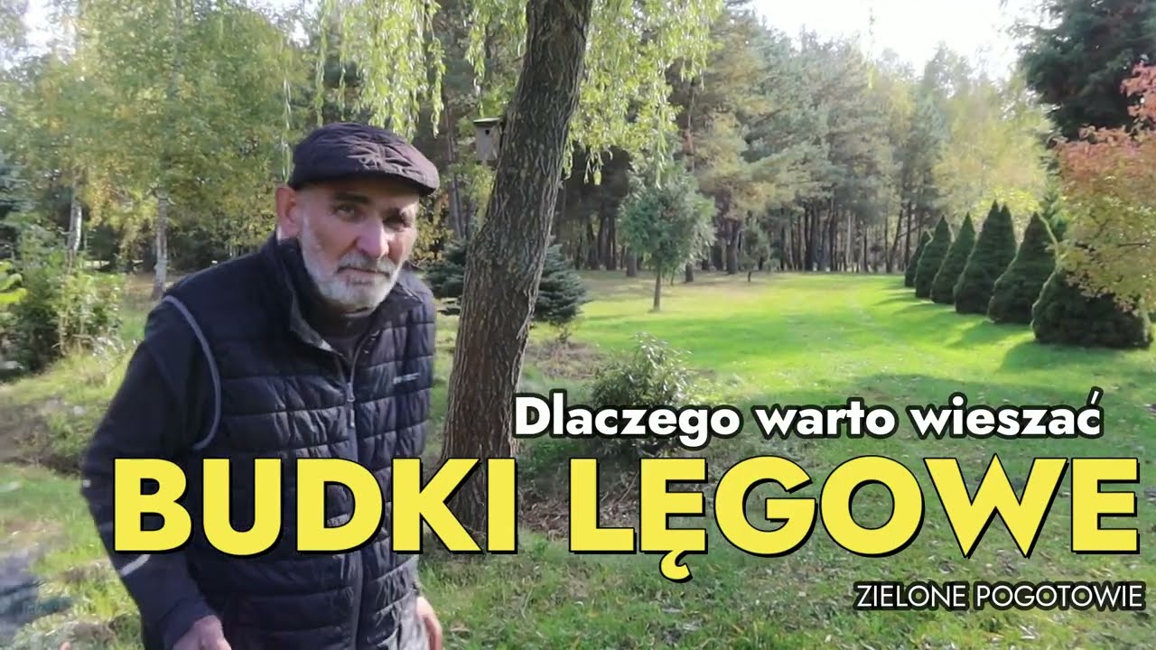 Po co wieszam budki lęgowe w ogrodzie?